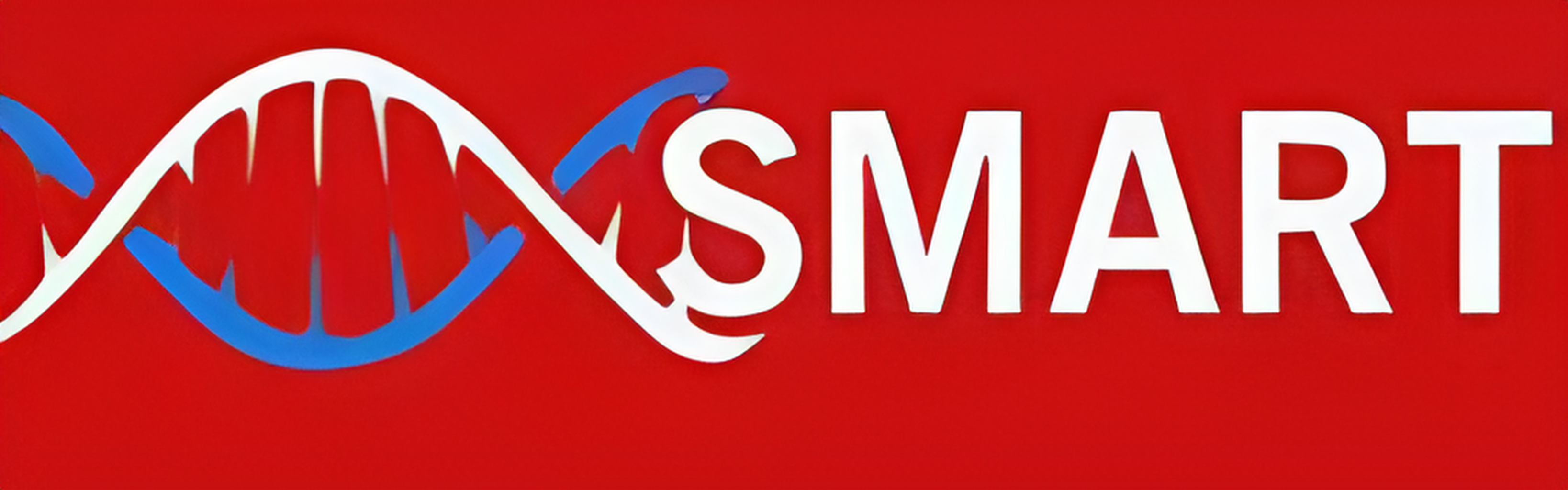 Logo-Smart-Society